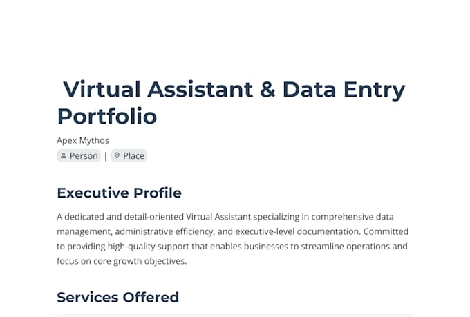 be your virtual assistant for data entry and executive summary writing